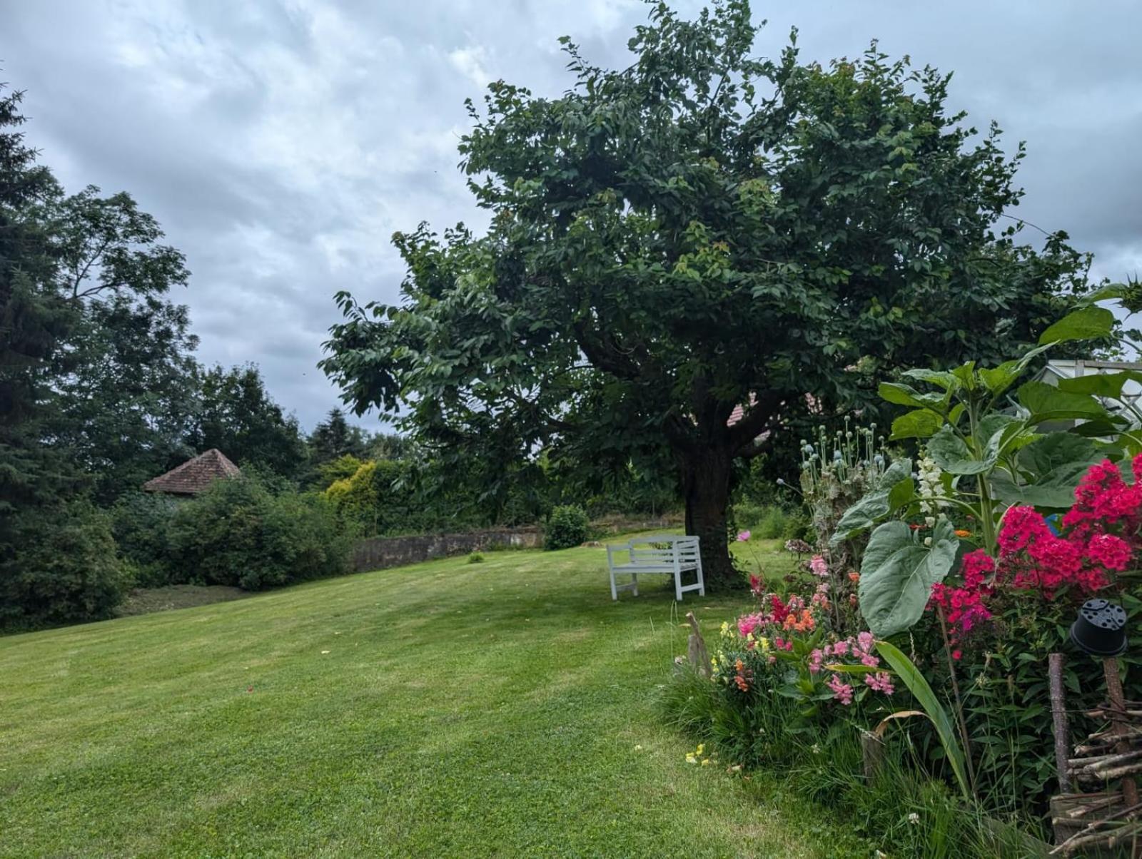 Ferienwohnung Janke Nossen Exterior foto